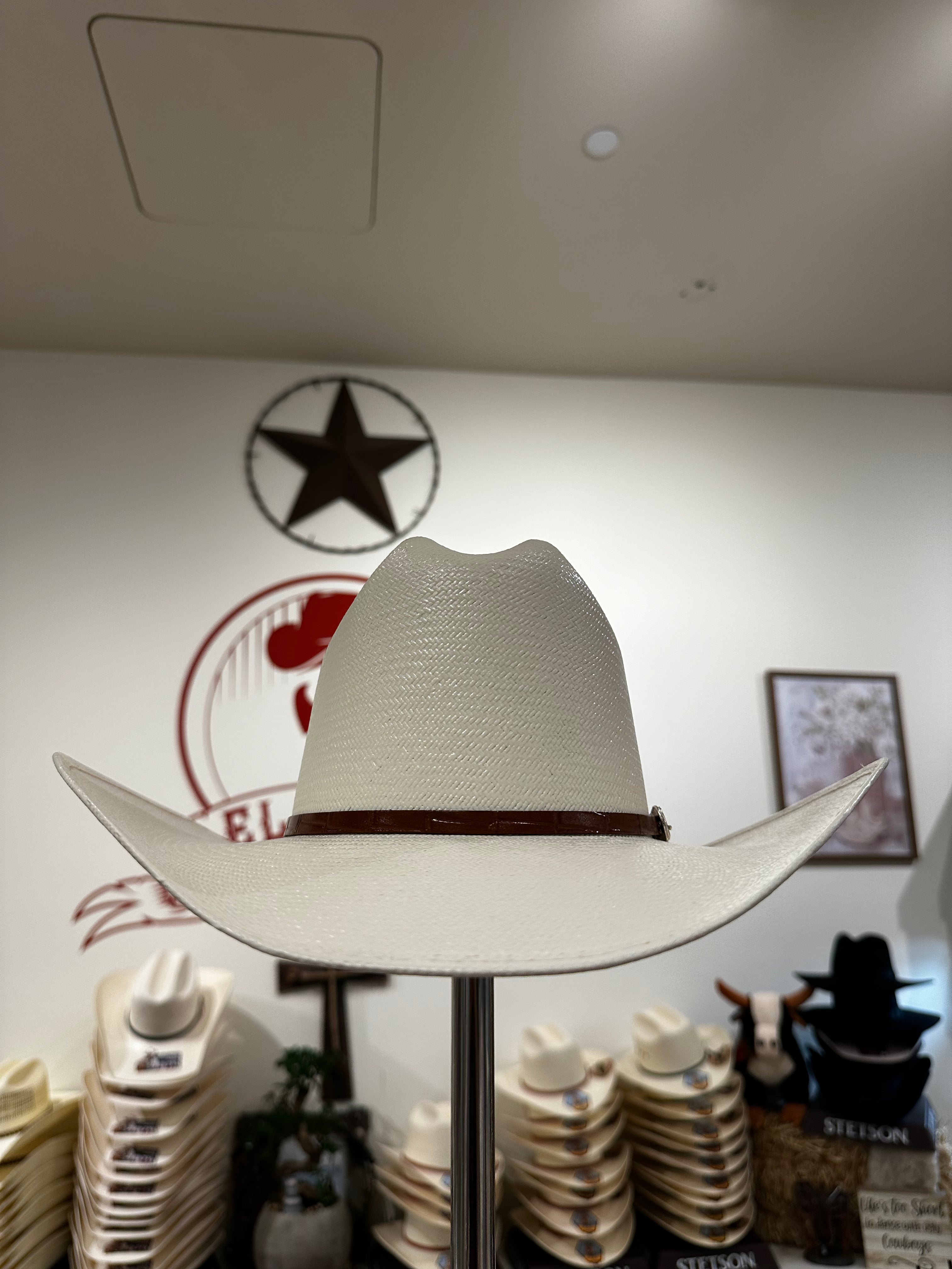 STETSON MAXIMO 100X