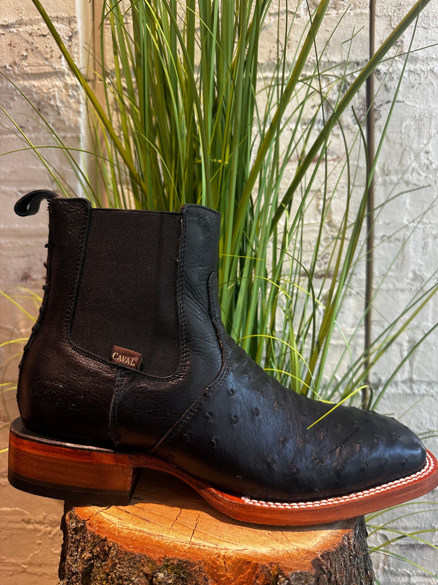 BOTIN/AVESTRUZ-OSTRICH  BLACK