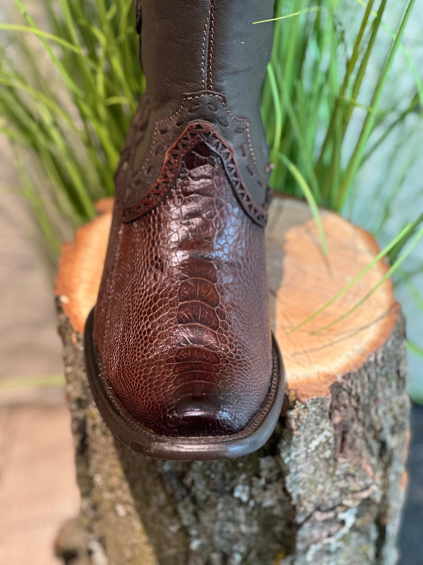 OSTRICH LEG BROWN