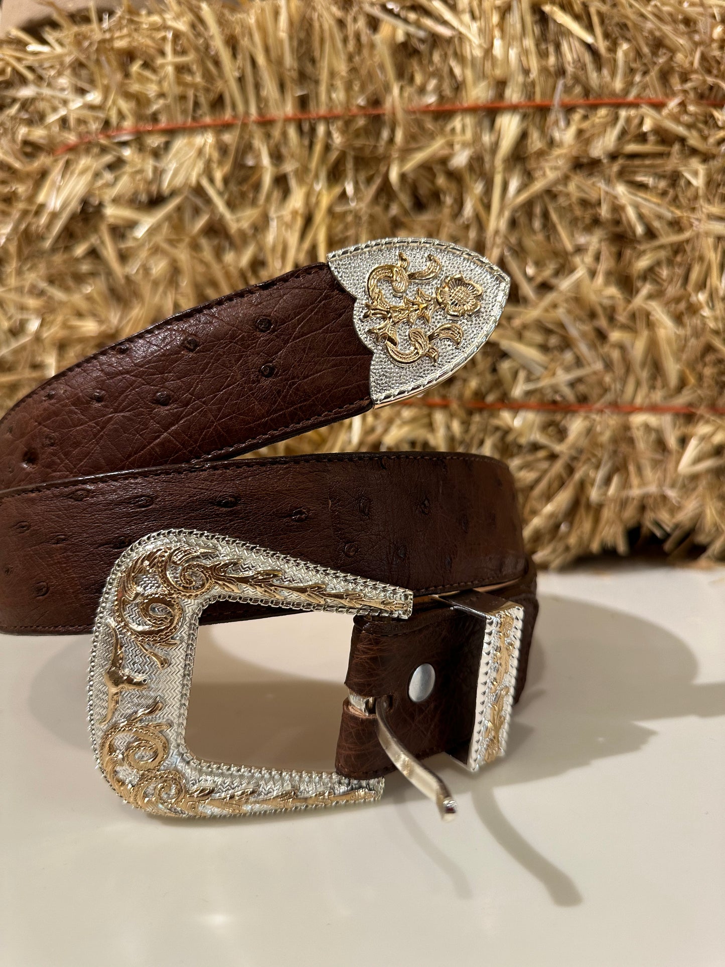 OSTRIX BROWN BELT