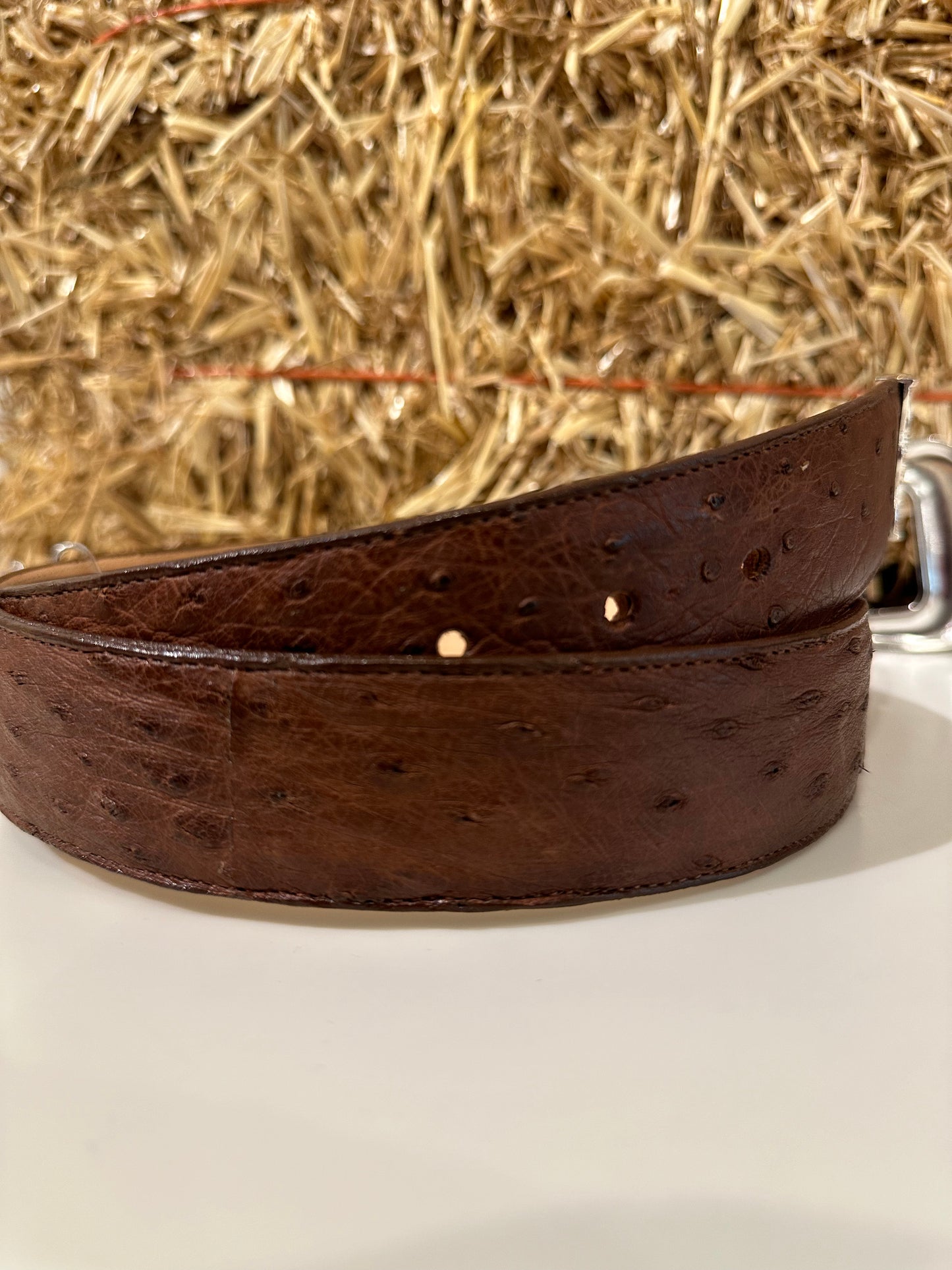 OSTRIX BROWN BELT