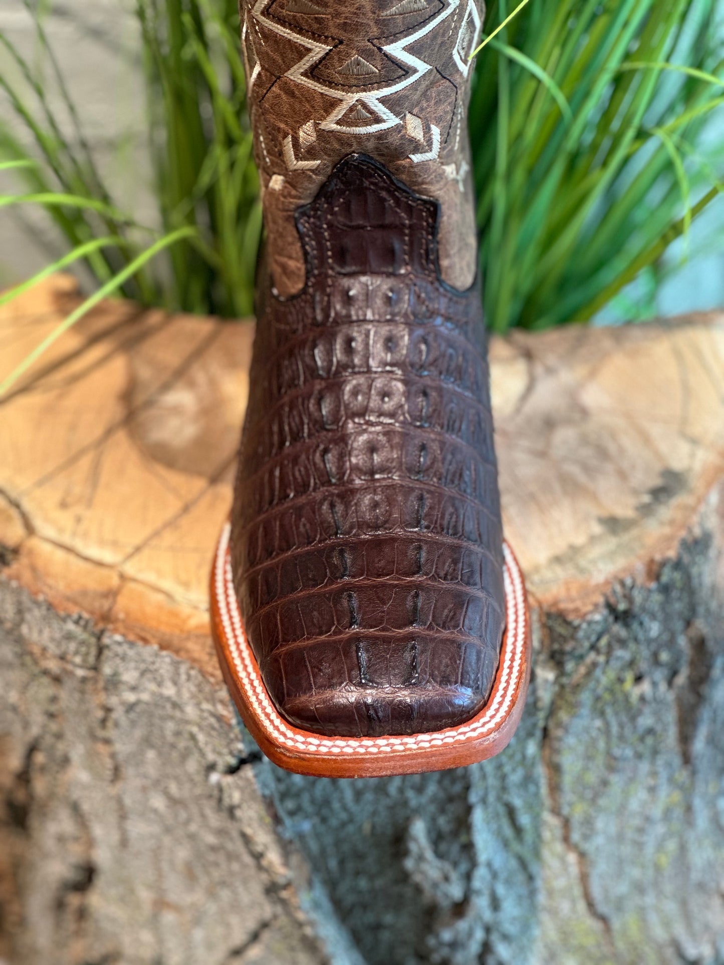 CAIMAN TAIL/COLA BROWN