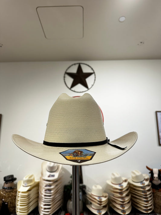 STETSON SPARTAN 10X